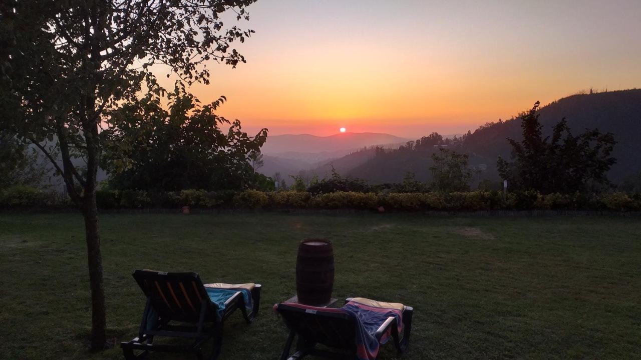Casa Da Boa Vista Em Viadal Villa Vale de Cambra Buitenkant foto
