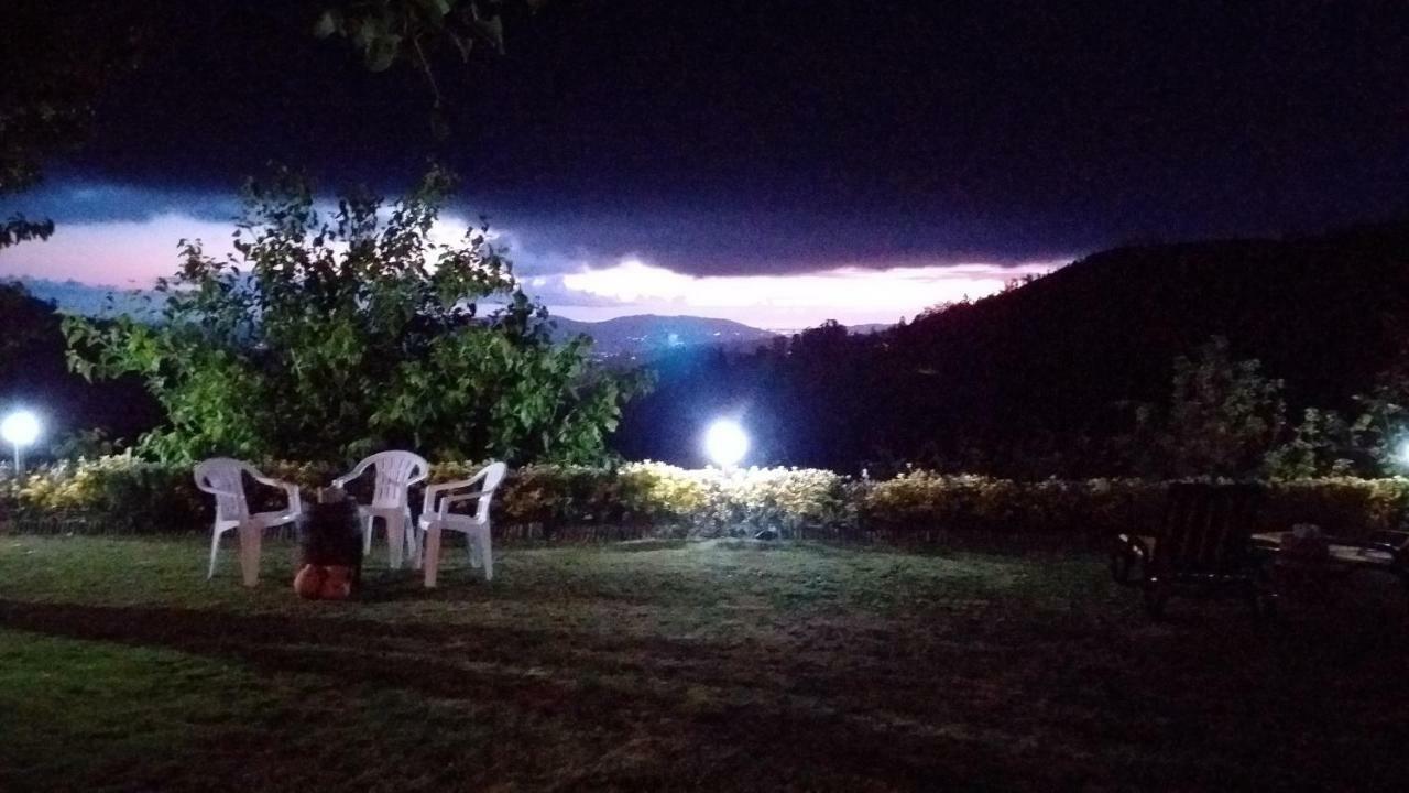 Casa Da Boa Vista Em Viadal Villa Vale de Cambra Buitenkant foto