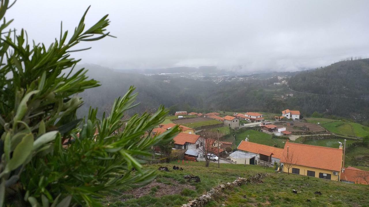 Casa Da Boa Vista Em Viadal Villa Vale de Cambra Buitenkant foto