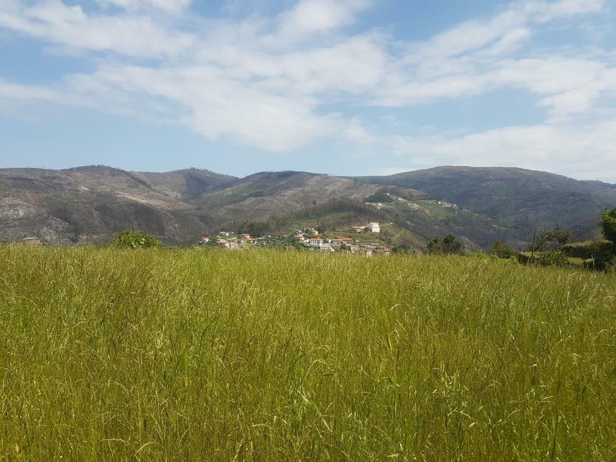 Casa Da Boa Vista Em Viadal Villa Vale de Cambra Buitenkant foto